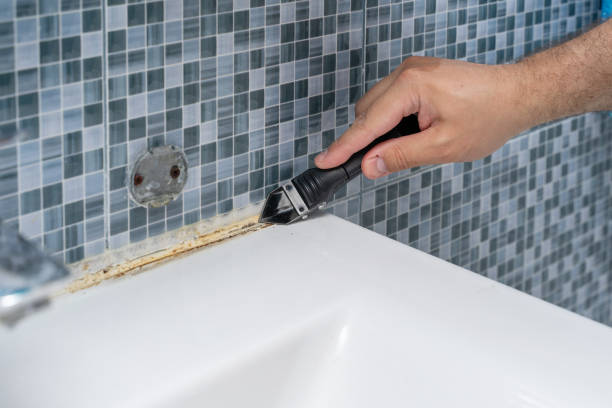 Best Mold Testing  in Calverton, MD
